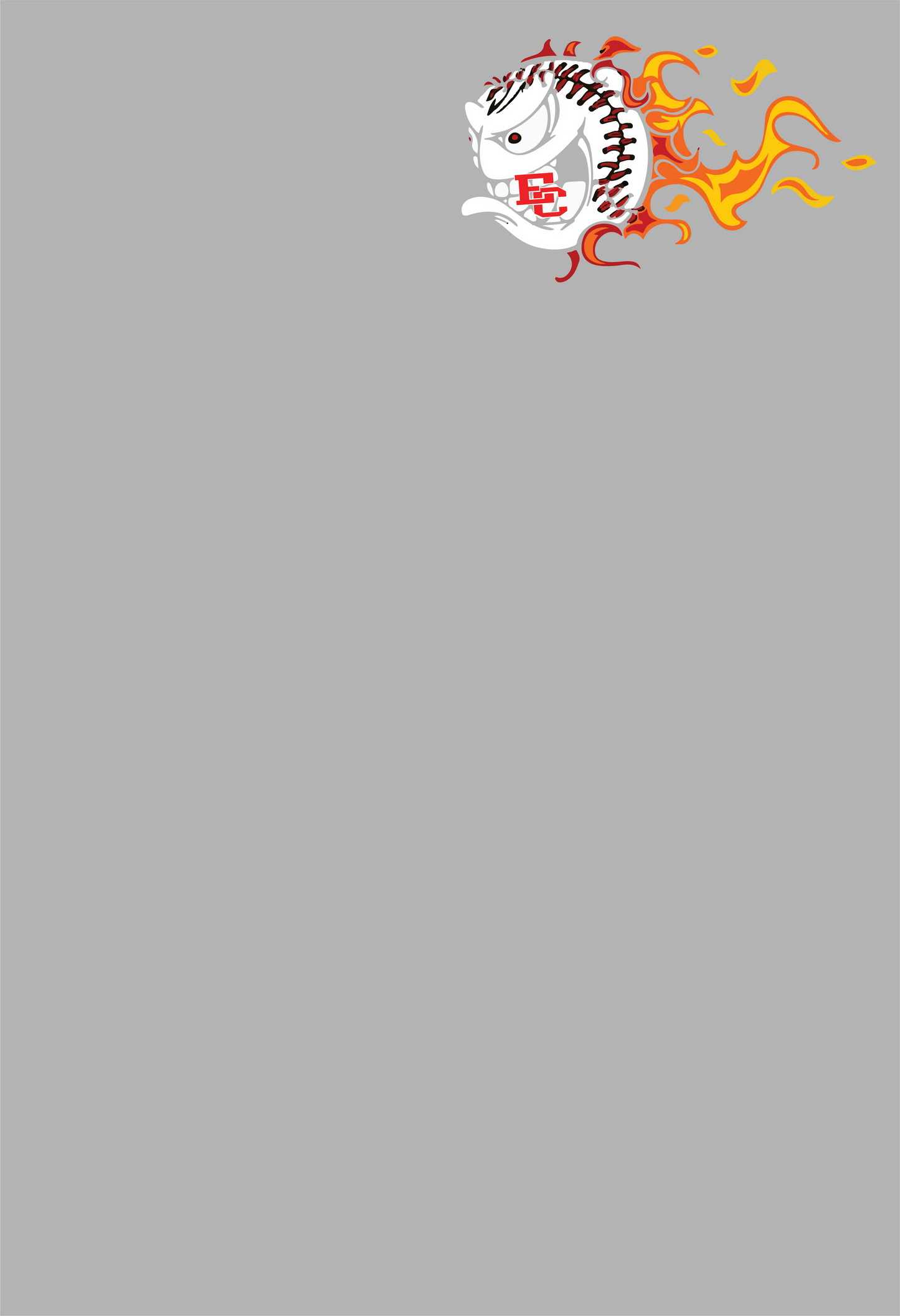 RICEBIRD BASEBALL NO FEAR