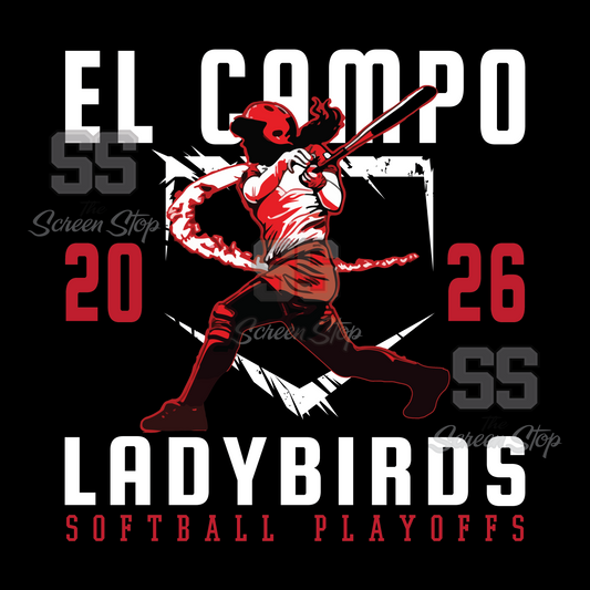 2026 LADYBIRD SOFTBALL PLAYOFFS TEE